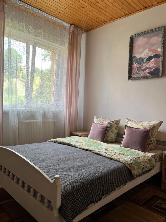 Ніч Над Карпатами Slavske Exterior foto